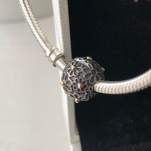 Pandora Two-Tone Clip Charm